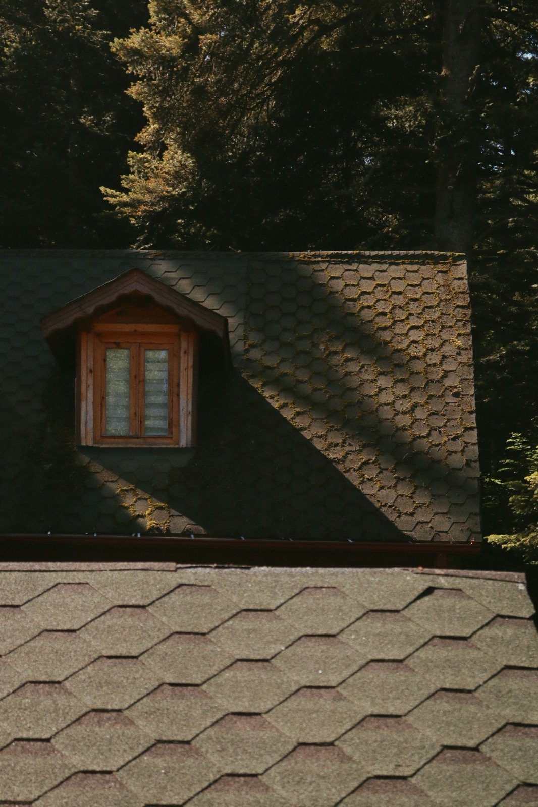 Roof Maintenance