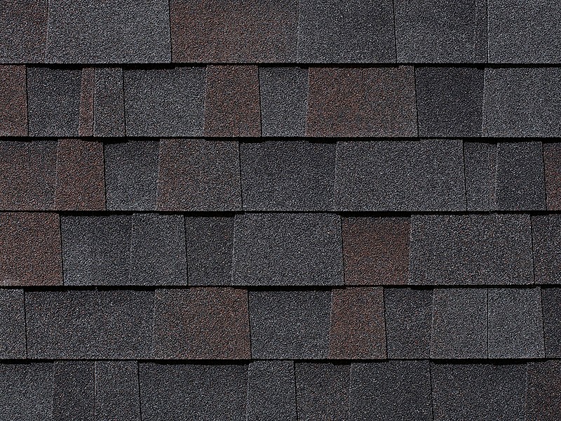 Malarkey Vista shingle in Black Oak
